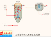 075-三相生物流化床工藝